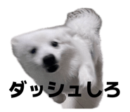 845884463