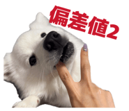 845884464