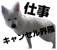 845884465