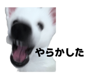 845884468