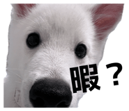 845884469
