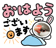 845884635