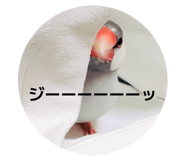 845884644
