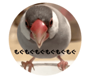 845884645