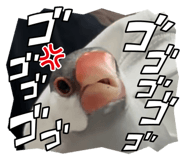 845884663