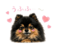 845885151