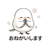 845885307