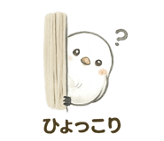 845885329