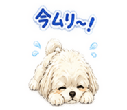 845885417