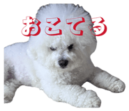 845885485