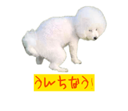 845885486