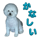 845885487