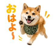 845885497