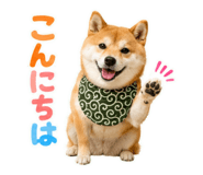 845885498