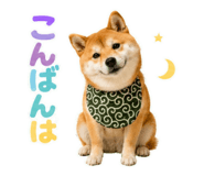 845885499