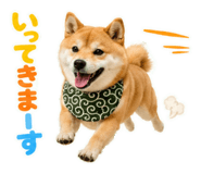 845885501