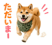 845885503