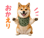 845885504
