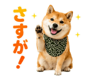 845885507