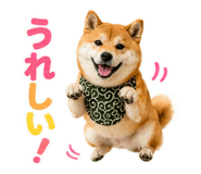 845885508