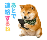 845885509