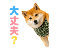845885511