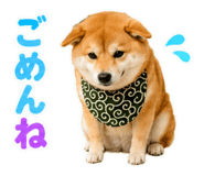 845885514