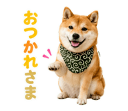 845885516
