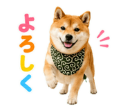 845885518