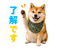 845885519