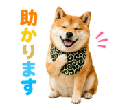 845885520