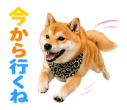 845885522