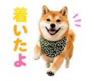 845885523