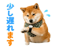 845885524