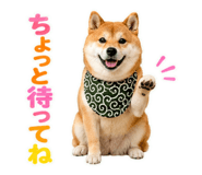 845885525