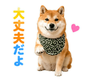 845885527