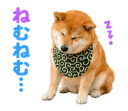 845885528