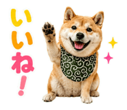845885529