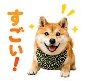 845885530