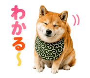 845885532