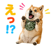 845885533