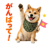 845885534