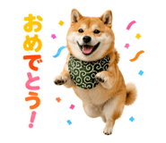 845885536