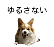 845885713