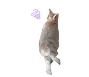 845885723