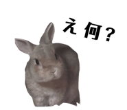 845885727