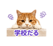845885848