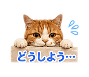 845885849