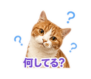 845885851