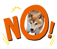 845885874